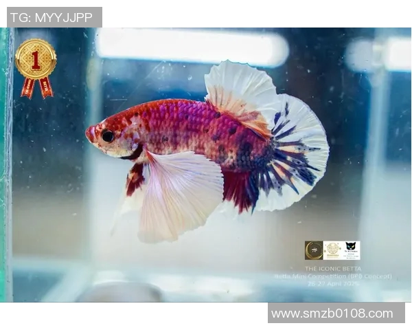 斗鱼黄金联赛比赛结果-斗鱼黄金联赛比赛结果惊艳全场,荣耀之战终见王者风采-斗鱼黄金联赛比赛结果 斗鱼黄金联赛比赛结果-斗鱼黄金联赛比赛结果惊艳全场,荣耀之战终见王者风采-斗鱼黄金联赛比赛结果